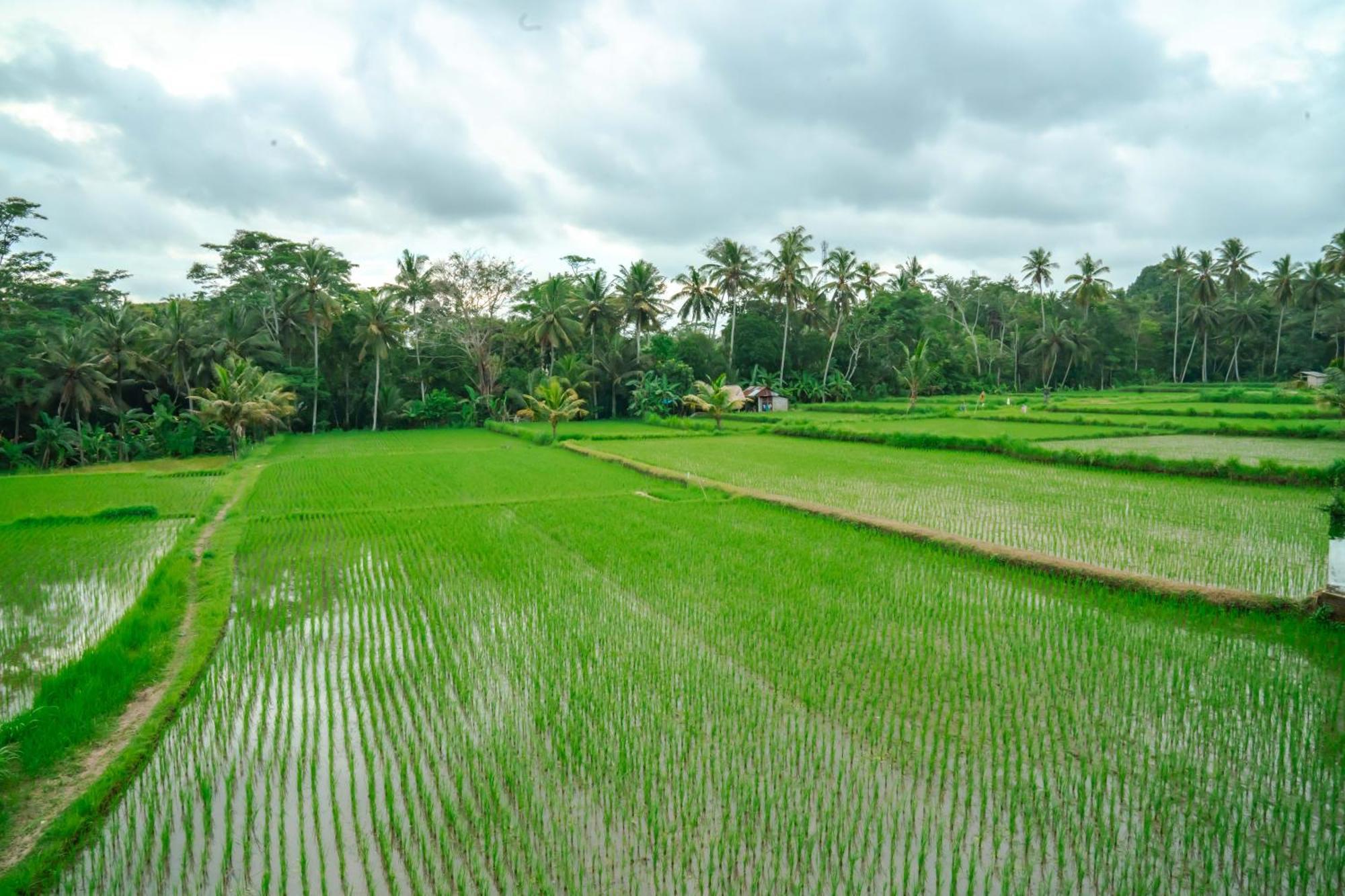 Tulus Hati Ubud Retreat Exteriér fotografie